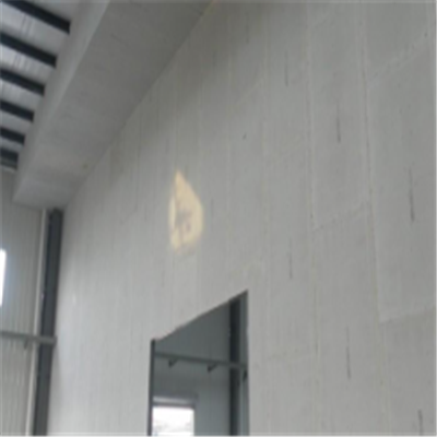 名山宁波ALC板|EPS加气板隔墙与混凝土整浇联接的实验研讨
